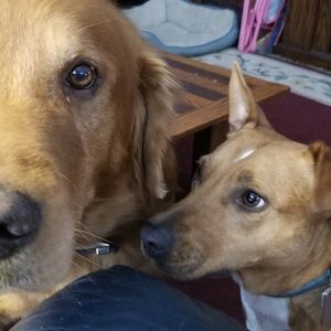 Meet your Posher, Jenny